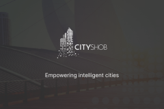 CityShob: loT Analytics Platform Development for Smart Cities
